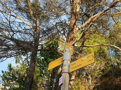  <a style='color: #fff;' href='/uploaded/photo/18-novembre-col-de-viares-6197b1fb3071f.jpg'>(Télécharger)</a>