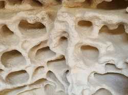  <a style='color: #fff;' href='/uploaded/photo/abbaye-de-st-roman-beaucaire-68f3c31117fcd.jpg'>(Télécharger)</a>