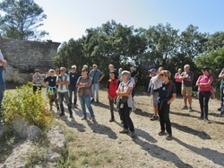  <a style='color: #fff;' href='/uploaded/photo/abbaye-de-st-roman-beaucaire-68f3c312a5cba.jpg'>(Télécharger)</a>