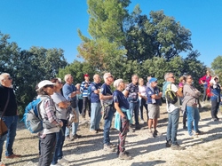  <a style='color: #fff;' href='/uploaded/photo/abbaye-de-st-roman-beaucaire-68f3c316ea36e.jpg'>(Télécharger)</a>