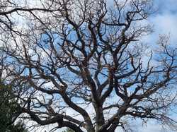  <a style='color: #fff;' href='/uploaded/photo/arpavon-et-poet-sigillat-693b272f461bd.jpg'>(Télécharger)</a>