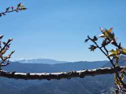  <a style='color: #fff;' href='/uploaded/photo/aubres-69d2d6b38d16c.jpg'>(Télécharger)</a>