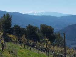  <a style='color: #fff;' href='/uploaded/photo/aubres-69d2d6b5aa761.jpg'>(Télécharger)</a>