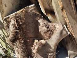  <a style='color: #fff;' href='/uploaded/photo/aubres-69d2d6b80c073.jpg'>(Télécharger)</a>