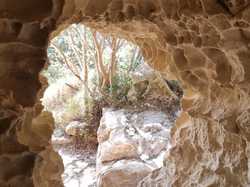  <a style='color: #fff;' href='/uploaded/photo/autour-de-l-abbaye-de-st-roman-68f1497796e79.jpg'>(Télécharger)</a>