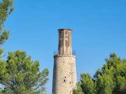  <a style='color: #fff;' href='/uploaded/photo/autour-de-l-abbaye-de-st-roman-68f14977e5227.jpg'>(Télécharger)</a>