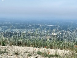  <a style='color: #fff;' href='/uploaded/photo/beaumes-de-venise-62865ed788ca3.jpg'>(Télécharger)</a>