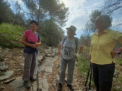  <a style='color: #fff;' href='/uploaded/photo/beaumes-de-venise-62865eda9cb84.jpg'>(Télécharger)</a>