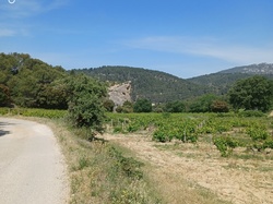  <a style='color: #fff;' href='/uploaded/photo/beaumes-de-venise-62865edc60510.jpg'>(Télécharger)</a>