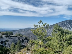  <a style='color: #fff;' href='/uploaded/photo/beaumont-du-ventoux-6259ac9feb4cc.jpg'>(Télécharger)</a>