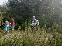  <a style='color: #fff;' href='/uploaded/photo/beaumont-du-ventoux-6259aca04096e.jpg'>(Télécharger)</a>