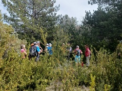  <a style='color: #fff;' href='/uploaded/photo/beaumont-du-ventoux-6259aca062c7e.jpg'>(Télécharger)</a>