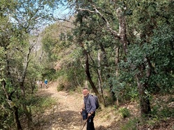  <a style='color: #fff;' href='/uploaded/photo/beaumont-du-ventoux-6259aca0752a1.jpg'>(Télécharger)</a>