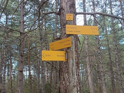  <a style='color: #fff;' href='/uploaded/photo/beaumont-du-ventoux-6259aca07def4.jpg'>(Télécharger)</a>