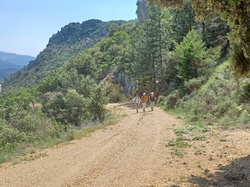  <a style='color: #fff;' href='/uploaded/photo/beauvoisin-648da3b9b246c.jpg'>(Télécharger)</a>