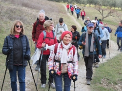  <a style='color: #fff;' href='/uploaded/photo/buis-le-rocher-du-lion-63e68bda53871.jpg'>(Télécharger)</a>