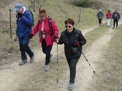  <a style='color: #fff;' href='/uploaded/photo/buis-le-rocher-du-lion-63e68be450edd.jpg'>(Télécharger)</a>