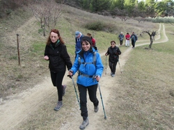  <a style='color: #fff;' href='/uploaded/photo/buis-le-rocher-du-lion-63e68bff26243.jpg'>(Télécharger)</a>