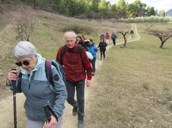  <a style='color: #fff;' href='/uploaded/photo/buis-le-rocher-du-lion-63e68bff73f2c.jpg'>(Télécharger)</a>