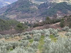  <a style='color: #fff;' href='/uploaded/photo/buis-le-rocher-du-lion-63efc1fc1a68a.jpg'>(Télécharger)</a>