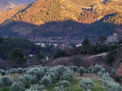  <a style='color: #fff;' href='/uploaded/photo/buis-le-rocher-du-lion-63efc1fcde9d0.jpg'>(Télécharger)</a>