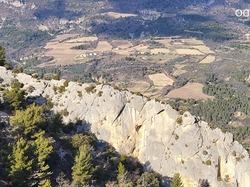  <a style='color: #fff;' href='/uploaded/photo/buis-le-rocher-du-lion-63efc1ff61175.jpg'>(Télécharger)</a>