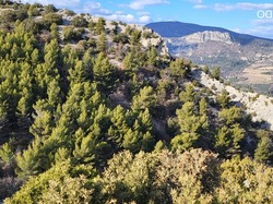  <a style='color: #fff;' href='/uploaded/photo/buis-le-rocher-du-lion-63efc2016f721.jpg'>(Télécharger)</a>