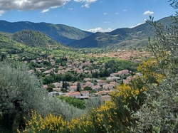 mini_buis-les-baronnies-645d4c65e114c.jpg