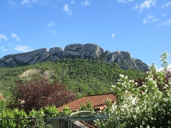 mini_buis-les-baronnies-645d4ee22642d.jpg