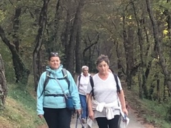  <a style='color: #fff;' href='/uploaded/photo/buisson-68e80acab3599.jpg'>(Télécharger)</a>