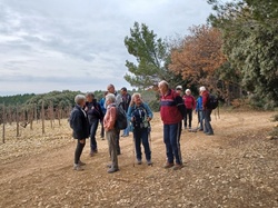  <a style='color: #fff;' href='/uploaded/photo/cairanne-le-sentier-magnum-658da923462d8.jpg'>(Télécharger)</a>