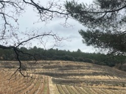  <a style='color: #fff;' href='/uploaded/photo/cairanne-le-sentier-magnum-658dd2587b22d.jpg'>(Télécharger)</a>