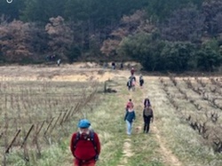  <a style='color: #fff;' href='/uploaded/photo/cairanne-le-sentier-magnum-658dd2589f3c3.jpg'>(Télécharger)</a>