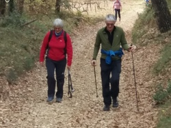  <a style='color: #fff;' href='/uploaded/photo/cairanne-le-sentier-magnum-658dd6b65778f.jpg'>(Télécharger)</a>