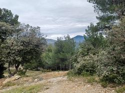  <a style='color: #fff;' href='/uploaded/photo/caromb-65ce5d24ec5ca.jpg'>(Télécharger)</a>