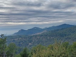  <a style='color: #fff;' href='/uploaded/photo/caromb-65cf575508264.jpg'>(Télécharger)</a>