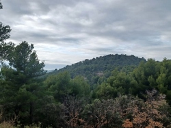  <a style='color: #fff;' href='/uploaded/photo/caromb-65cf57581f80b.jpg'>(Télécharger)</a>