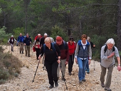  <a style='color: #fff;' href='/uploaded/photo/caromb-65cf58afdc63e.jpg'>(Télécharger)</a>