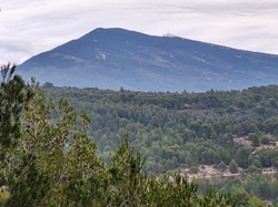  <a style='color: #fff;' href='/uploaded/photo/caromb-65cf58d24cf20.jpg'>(Télécharger)</a>