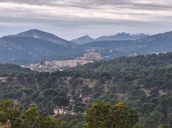  <a style='color: #fff;' href='/uploaded/photo/caromb-65cf58ff6f351.jpg'>(Télécharger)</a>