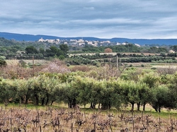  <a style='color: #fff;' href='/uploaded/photo/caromb-65cf59118f660.jpg'>(Télécharger)</a>