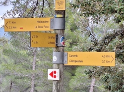  <a style='color: #fff;' href='/uploaded/photo/caromb-65cf596e39c44.jpg'>(Télécharger)</a>