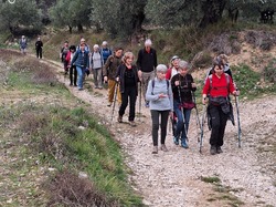  <a style='color: #fff;' href='/uploaded/photo/caromb-65cf597a03dbf.jpg'>(Télécharger)</a>