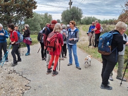  <a style='color: #fff;' href='/uploaded/photo/caromb-65cf598bc27b1.jpg'>(Télécharger)</a>