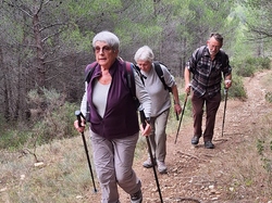  <a style='color: #fff;' href='/uploaded/photo/caromb-65cf599bc9ac0.jpg'>(Télécharger)</a>