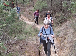  <a style='color: #fff;' href='/uploaded/photo/caromb-65cf59a404269.jpg'>(Télécharger)</a>