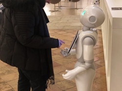  <a style='color: #fff;' href='/uploaded/photo/carpentras-l-inguimbertine-657a107536d2c.jpg'>(Télécharger)</a>