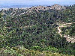  <a style='color: #fff;' href='/uploaded/photo/carriy-res-de-lumiy-re-6744bafbd5b37.jpg'>(Télécharger)</a>