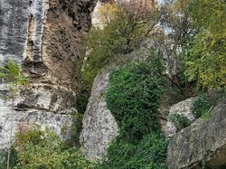  <a style='color: #fff;' href='/uploaded/photo/carriy-res-de-lumiy-re-6744bb079694e.jpg'>(Télécharger)</a>