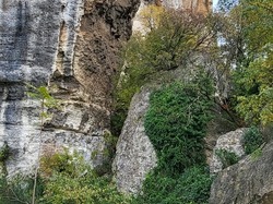  <a style='color: #fff;' href='/uploaded/photo/carriy-res-de-lumiy-re-6744bb082151b.jpg'>(Télécharger)</a>